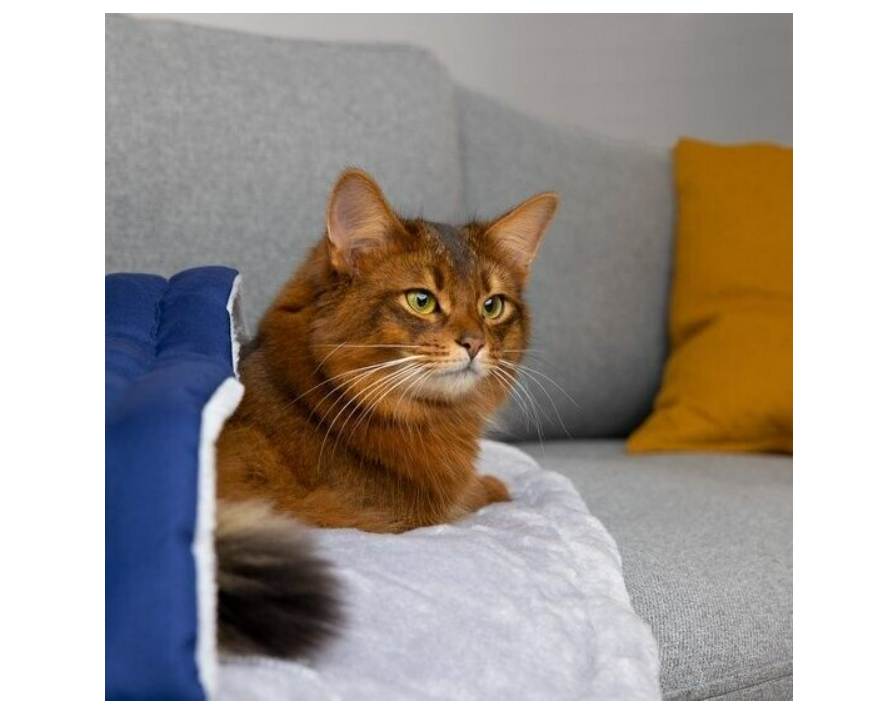 Navaris Haustierschlafsack Hund Katze