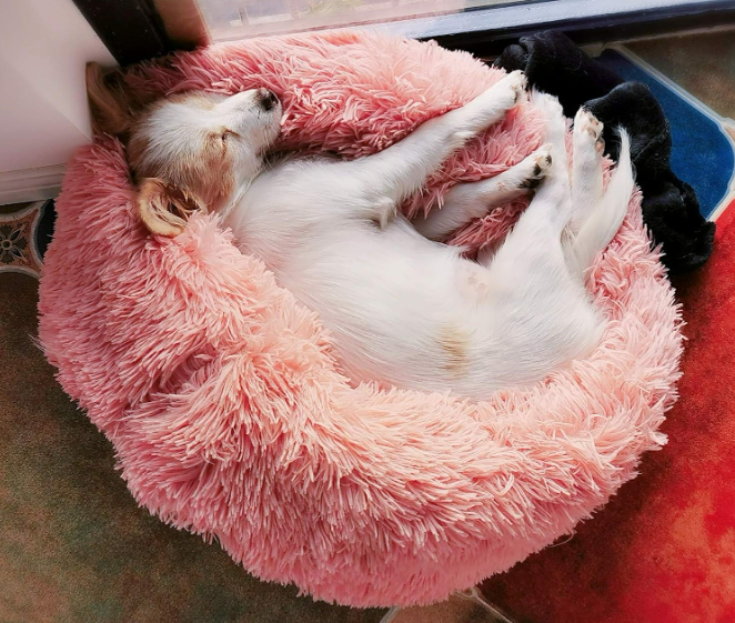 Plüsch Hunde und Katzen Bettchen XL  XXL Grau XXL Rosa